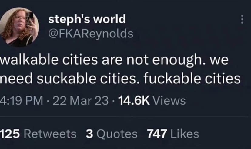 The meme is a screenshot of a Twitter post with a photo of a person's face in the top left corner. The text in the post reads: "In a world where... walkable cities are not enough, we need... (wait for it) ...suckable cities." The post is likely a humorous commentary on urban planning and city design, poking fun at the idea that even walkable cities aren't enough, implying that cities need to be even more... well, sucky.